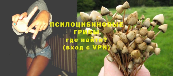 гашик Канск