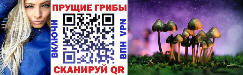 darknet какой сайт Ростов Галлюциногенные грибы Psilocybe